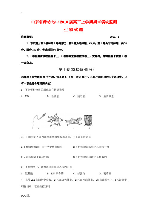 山东省潍坊七中2010届高三生物上学期期末考试新人教版