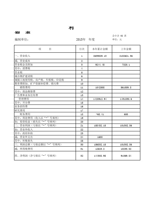 企业资产负债表及利润表 模板 