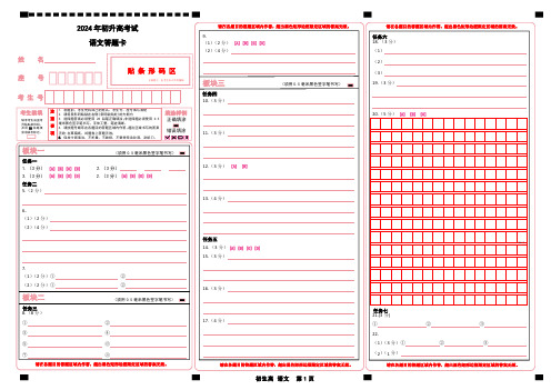 2024年初升高考试语文答题卡