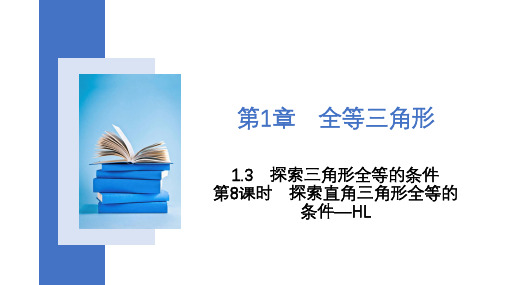 1.3 第8课时 探索直角三角形全等的条件—HL2023-2024学年苏科版八年级上册数学