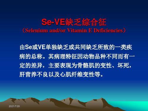 Se-VE缺乏综合征