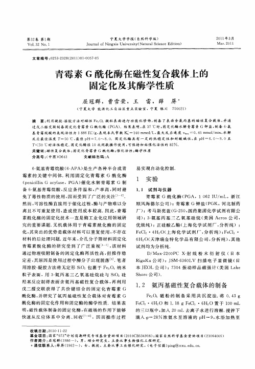 青霉素G酰化酶在磁性复合载体上的固定化及其酶学性质