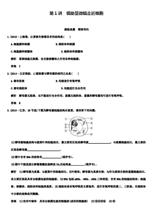 2018-2019学年高三生物第一轮复习基础知识点巩固习题24