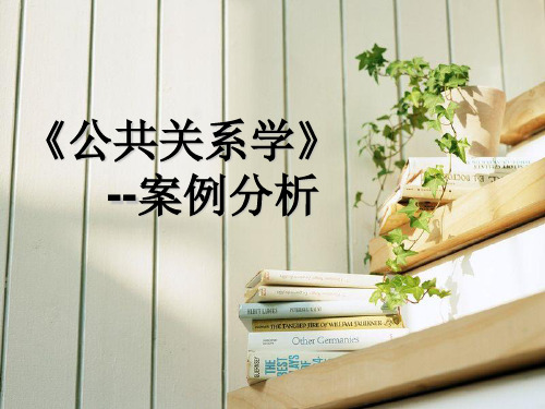 公共关系学策划 ppt课件