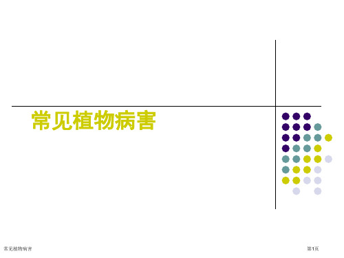 常见植物病害