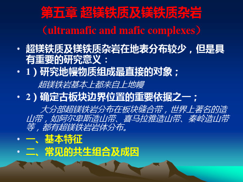 06 超镁铁岩及镁铁质侵入岩