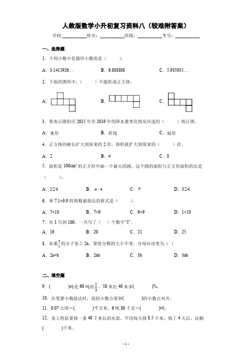 人教版数学小升初复习资料八(较难附答案)