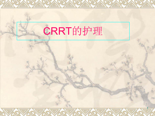 CRRT的护理ppt课件