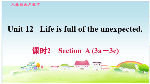 人教版九年级英语下册 Unit 12 课时2 Section A (3a-3c)【习题课件】