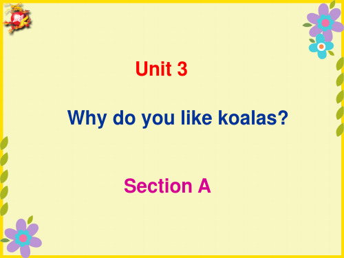 人教版七年级英语下册《nit 3 Why do you like koalas.  Unit 3 Why do you like koalas.(通用)》课件_2