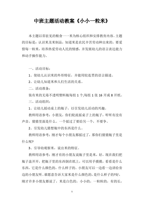 中班主题活动教案《小小一粒米》