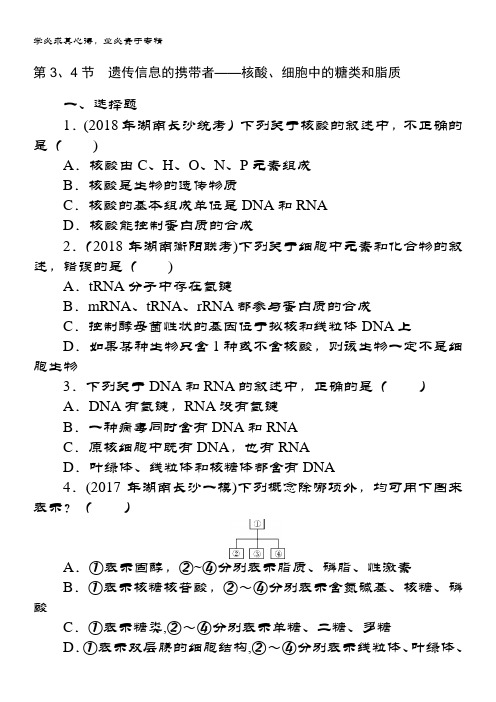 生物新课堂一轮总复习(课时练)：1 第2章 组成细胞的分子 第3、4节 遗传信息的携带者——核酸、细