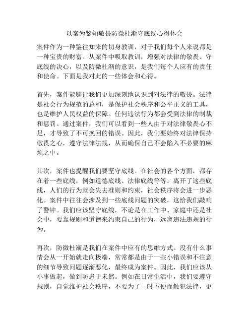 以案为鉴知敬畏防微杜渐守底线心得体会