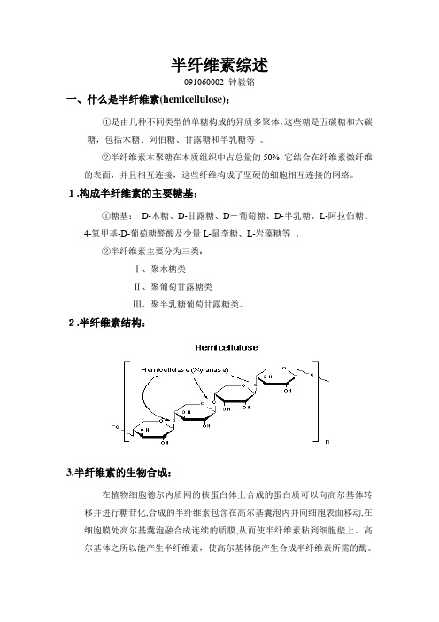 半纤维素综述