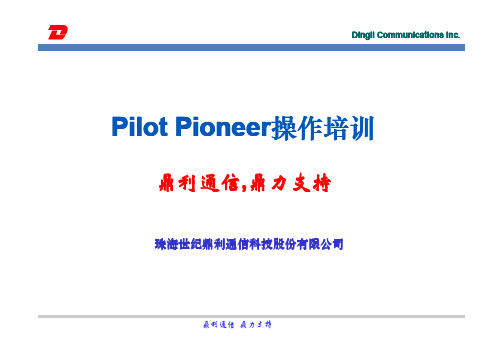 鼎利通信--Pioneer操作培训PPT(TD)