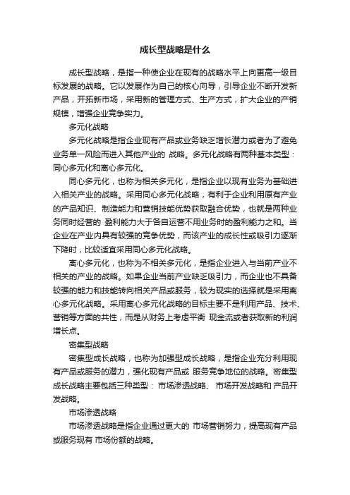 成长型战略是什么