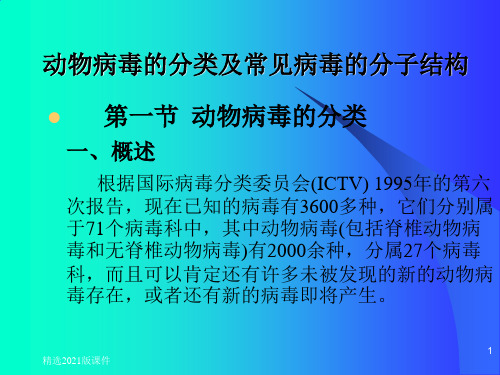 动物病毒的分类及常见病毒的分子结构