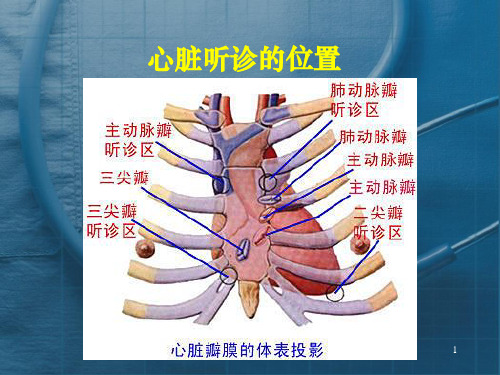 心脏听诊课件ppt课件