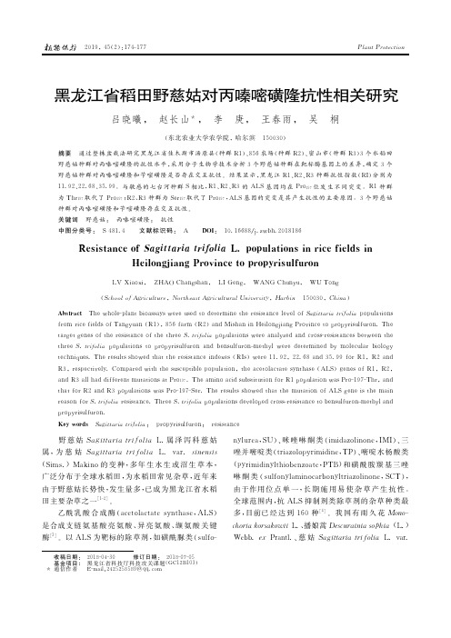 黑龙江省稻田野慈姑对丙嗪嘧磺隆抗性相关研究