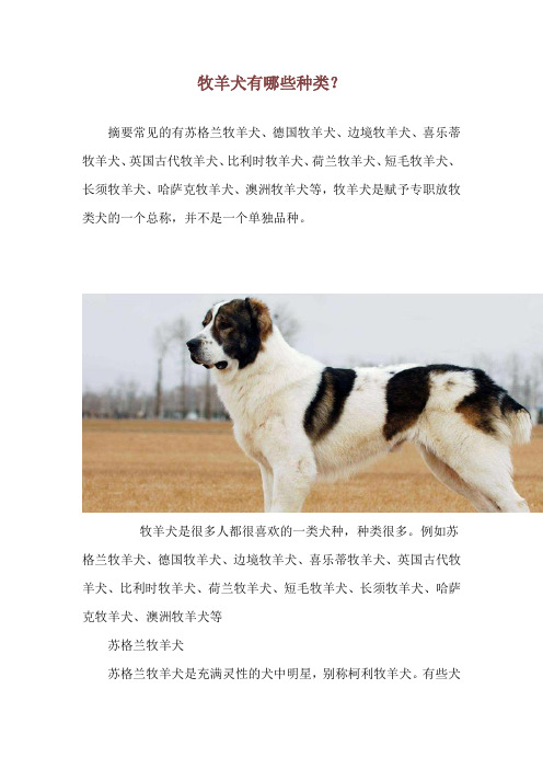 牧羊犬有哪些种类？