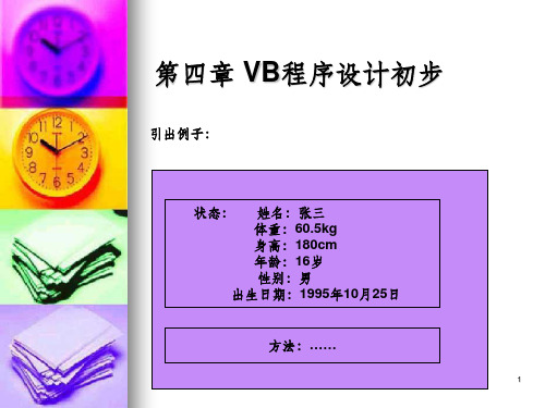 VB程序设计初步ppt课件