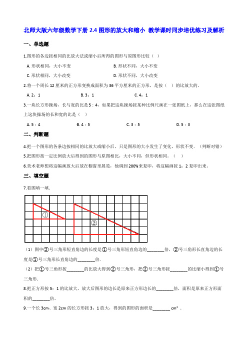 北师大版六年级数学下册2.4图形的放大和缩小 教学课时同步培优练习及解析