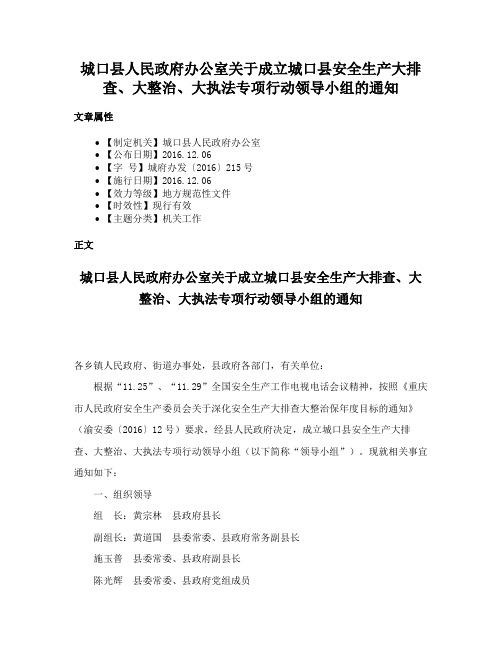 城口县人民政府办公室关于成立城口县安全生产大排查、大整治、大执法专项行动领导小组的通知