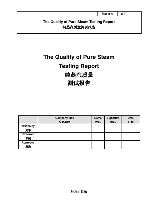 纯蒸汽测试报告分析