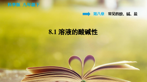 科学版化学九年级下册第八章《常见的酸、碱、盐》8.1 溶液的酸碱性