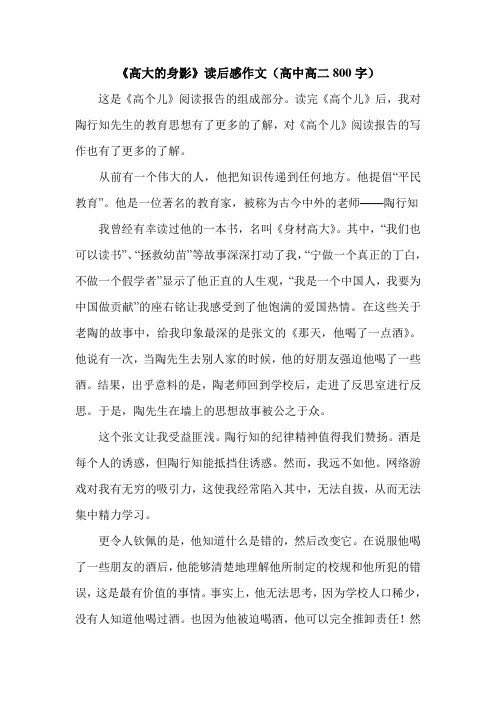 《高大的身影》读后感作文(高中高二800字).doc