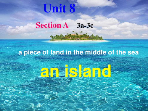 Unit 8   Section A    3a-3c(精编版)