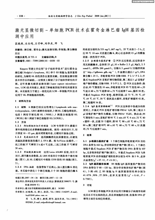 激光显微切割-单细胞PCR技术在霍奇金淋巴瘤IgH基因检测中应用