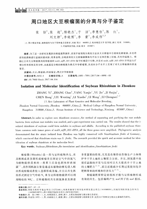 周口地区大豆根瘤菌的分离与分子鉴定