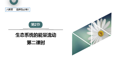 3.2 课时2  生态系统的能量流动  课件 高二生物人教版(2019)选择性必修2