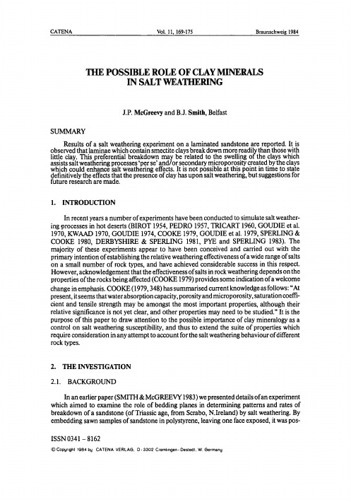 possible role of clay minerals in salt weathering