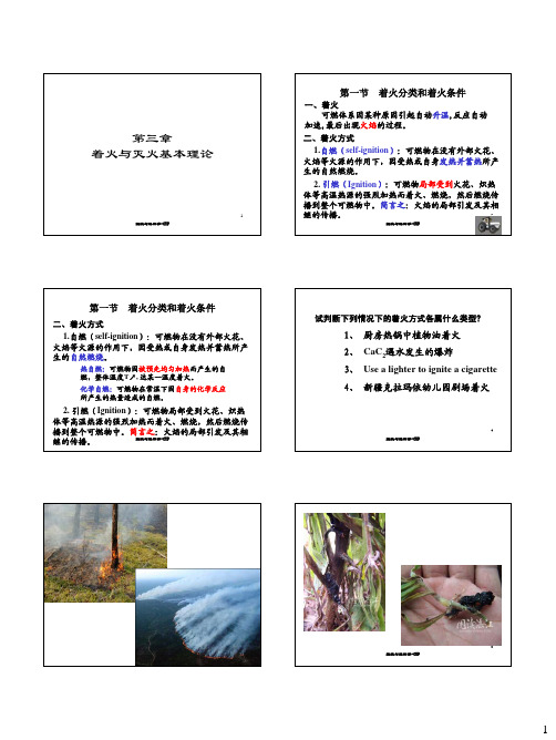 3.1-2 semenov自然理论