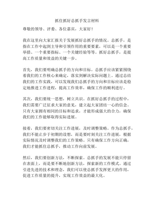 抓住抓好总抓手发言材料