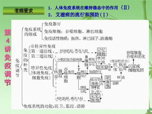 高考一轮生物复习课件：免疫调节(共33张PPT)