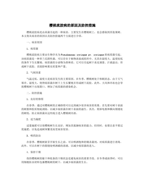 樱桃流胶病的原因及防控措施