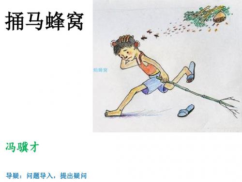 课件:《捅马蜂窝》