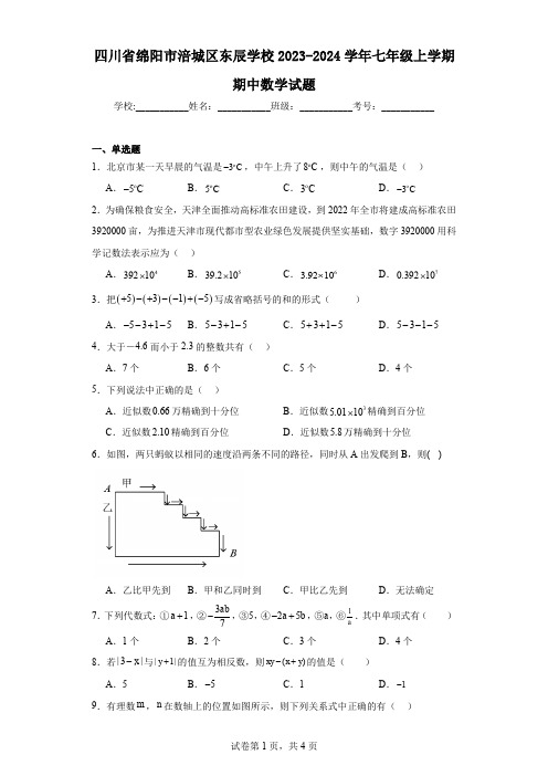 四川省绵阳市涪城区东辰学校2023-2024学年七年级上学期期中数学试题