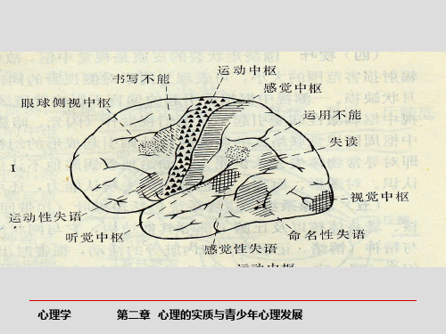教育综合知识心理的实质文档ppt