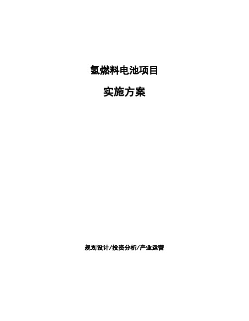 氢燃料电池项目实施方案(1)