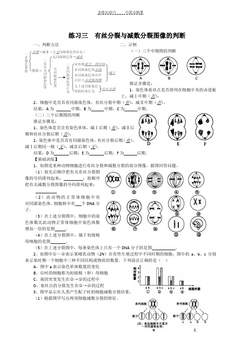 减数分裂和有丝分裂图像区别测试题