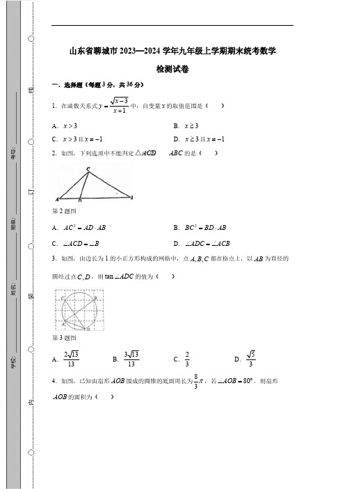 山东省聊城市2023-2024学年九年级上学期期末统考数学检测试卷(有答案)