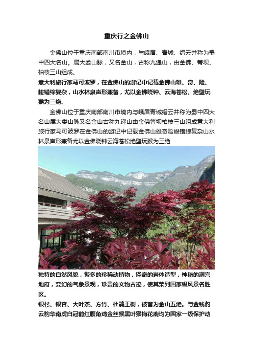 重庆行之金佛山