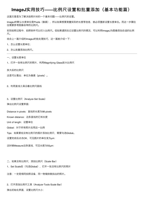 ImageJ实用技巧——比例尺设置和批量添加（基本功能篇）