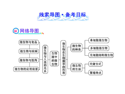 初中生物PPT课件