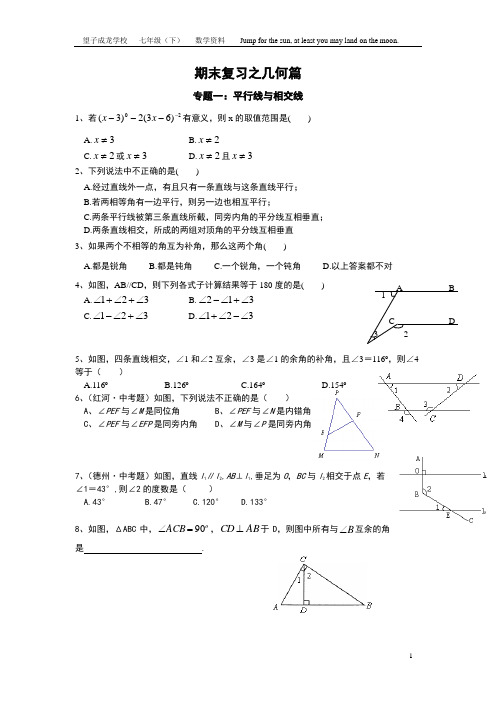 北师大版七年级下期末总复习几何部分