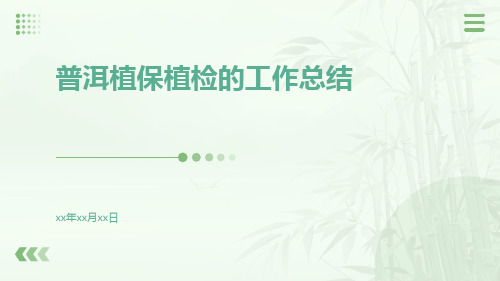 普洱植保植检的工作总结PPT